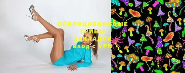 spice Аркадак