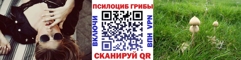 Псилоцибиновые грибы GOLDEN TEACHER  mega вход  Дедовск  магазин продажи  